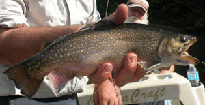 Wading Fishing